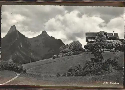 Gruyeres FR Teilansicht Hotel Freiburger Alpen Kat. Gruyeres