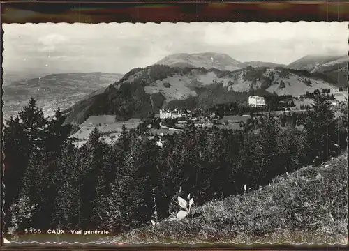 Caux VD Panorama Kat. Caux