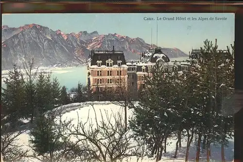 Caux VD Grand Hotel et les Alpes de Savoie Lac Leman Kat. Caux