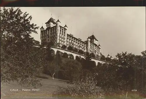 Caux VD Palace Hotel Kat. Caux