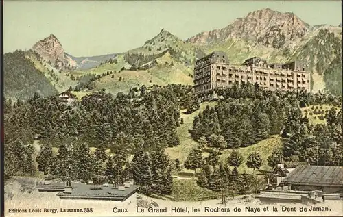 Caux VD Grand Hotel les Rochers de Naye et la Dent de Jaman Kuenstlerkarte Kat. Caux