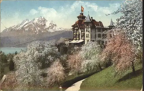 Weggis LU Hotel Alpenblick mit Pilatus Baumbluete Vierwaldstaettersee Kat. Weggis