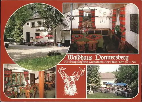 Donnersberg Waldhaus  Kat. Dannenfels
