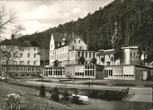 Langen Brombach Erholungsheim Reh