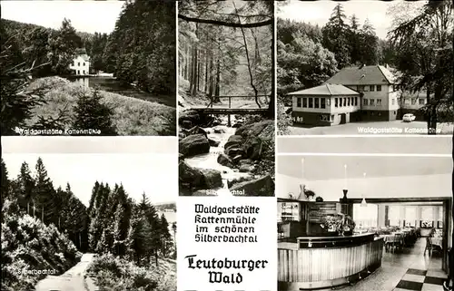 pw20084 Teutoburgerwald Waldgaststaette Kattenmuehle Kategorie. Detmold Alte Ansichtskarten