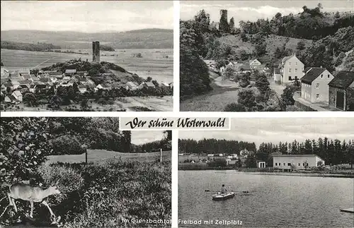 Westerwald Zeltplatz Reh Kat. Sylt-Ost