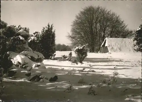 Wilsede Lueneburger Heide Winterlandschaft / Bispingen /Soltau-Fallingbostel LKR