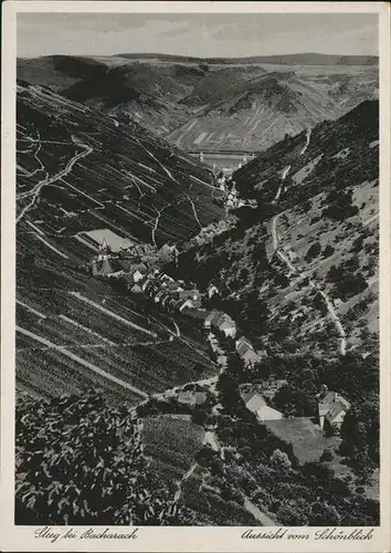 Steeg Bacharach Aussicht vom Schoenblick Kat. Bacharach