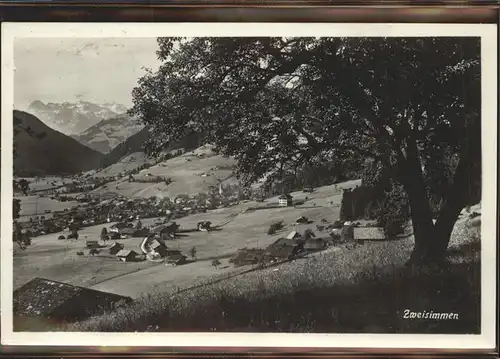 Zweisimmen Panoramakarte Kat. Zweisimmen