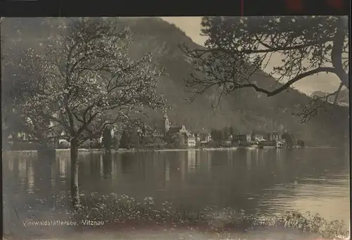 Vitznau Vierwaldstaettersee Kat. Vitznau