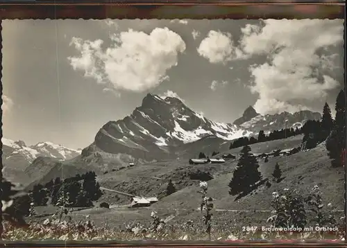 Braunwald GL Alp mit Ortstock Kat. Braunwald