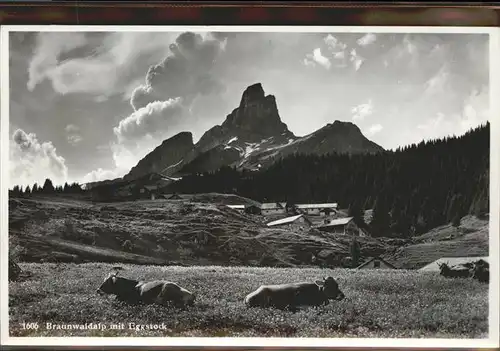 Braunwald GL Eggstock Kuehe  Kat. Braunwald