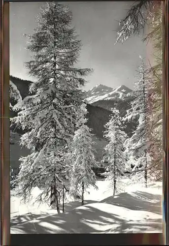 kk09180 Davos GR Winterzauber Blick auf Leidbachhorn und Rhinerhorn Kategorie. Davos Alte Ansichtskarten