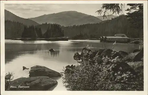 Flims Dorf Caumasee Graubuenden Kat. Flims Dorf