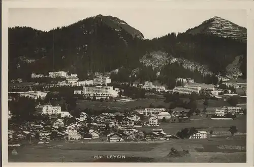 Leysin Panorama Kat. Leysin