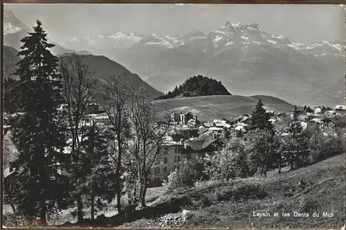 Leysin Village et les Dents du Midi Kat. Leysin