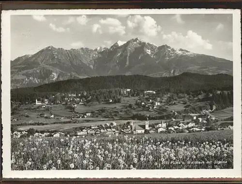 Flims Waldhaus Ortsansicht mit Signina
 Kat. Flims Waldhaus