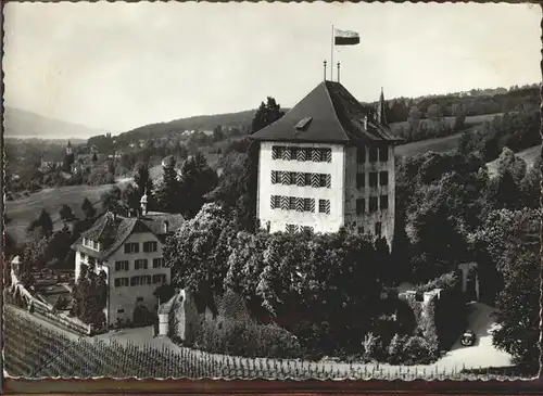 Gelfingen Schloss Heidegg   Fliegeraufnahme Kat. Gelfingen