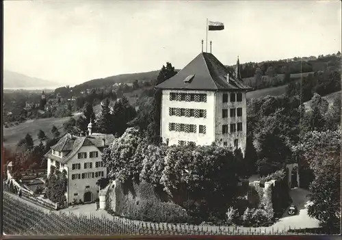 Gelfingen Schloss Heidegg   Fliegeraufnahme Kat. Gelfingen