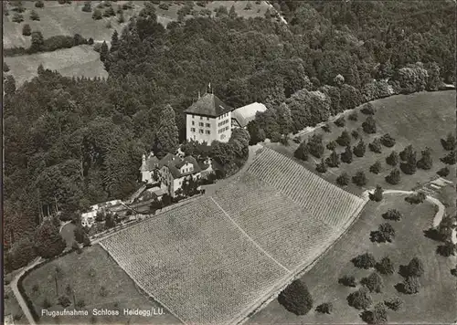 Gelfingen Schloss Heidegg   Fliegeraufnahme Kat. Gelfingen