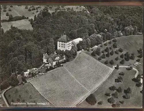 Gelfingen Schloss Heidegg   Fliegeraufnahme Kat. Gelfingen