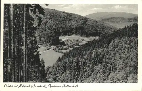 Medebach Orketal Forsthaus Kaltenscheid Kat. Medebach