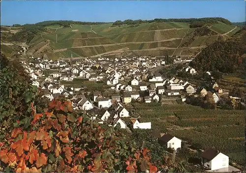 Dernau Ahr Fliegeraufnahme Weinberge Hotelt Herbert Koch Kat. Dernau