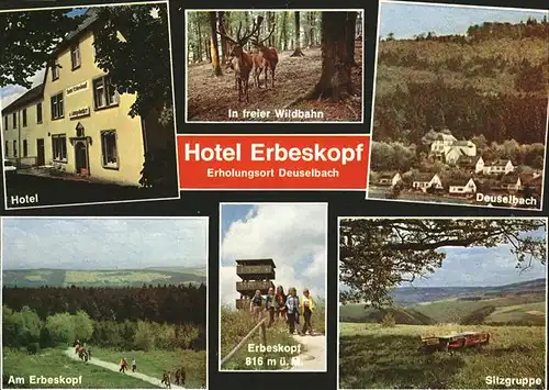 Deuselbach Hotel Erbeskopf E. Molter  Kat. Deuselbach