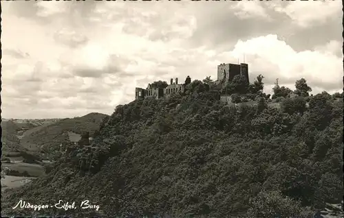 Nideggen Burg Kat. Nideggen