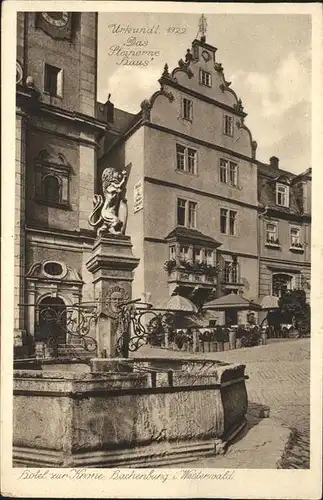 Hachenburg Das Steinerne Haus und Hotel zur Krone mit Brunnen Kat. Hachenburg