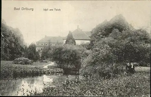 Bad Driburg Idyll am Teich Kat. Bad Driburg