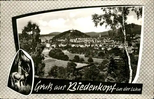 Biedenkopf Panorama Kat. Biedenkopf