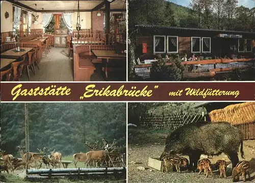 Bad Lauterberg Gaststaette Erikabruecke Wildfuetterung Kat. Bad Lauterberg im Harz