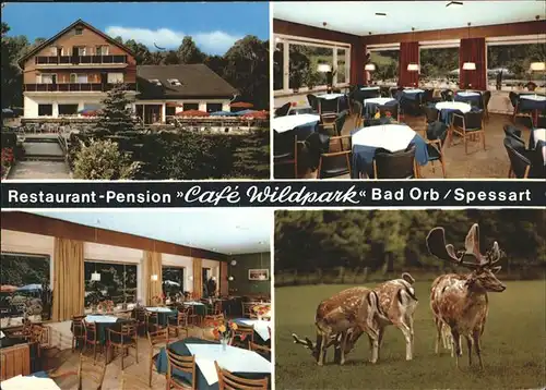 Bad Orb Cafe Wildpark Innenansicht Hirsche Kat. Bad Orb