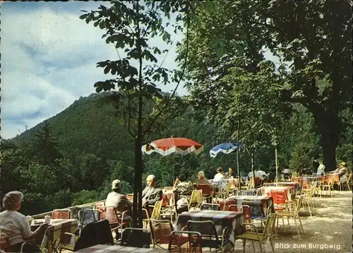 Bad Harzburg Waldgasthaus Sennhuette Kat. Bad Harzburg