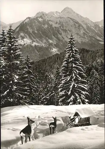 Freibergsee Naturfreundehaus