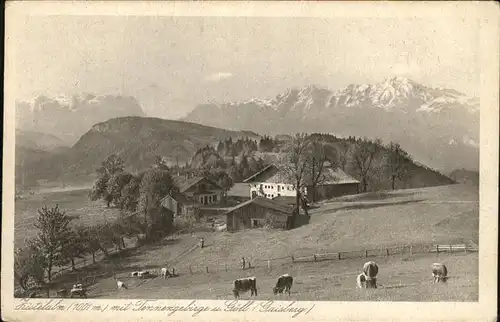 Salzburg Oesterreich Zistelalm mit Tennengebirge und Goell (Gaisberg) Kat. Salzburg