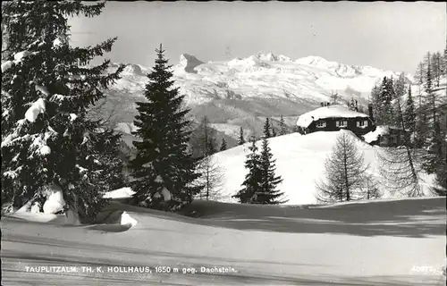 Tauplitzalm Hollhaus Dachstein Kat. Tauplitz