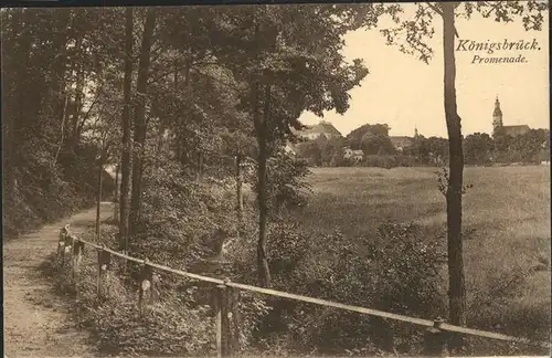 Koenigsbrueck Promenade