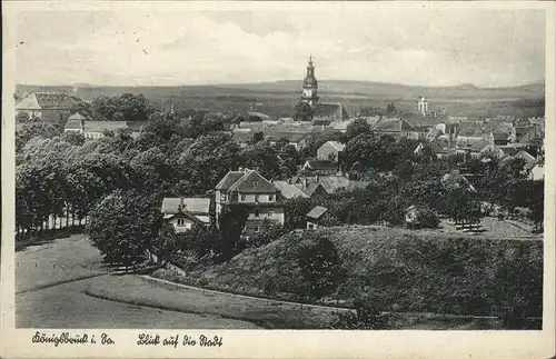 Koenigsbrueck Stadtblick