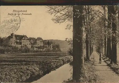 Koenigsbrueck Promenade