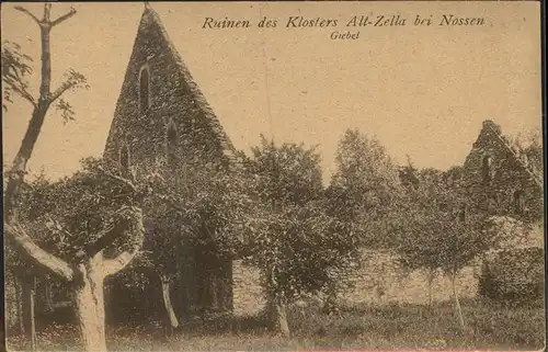 Nossen Ruinen des Klosters Altzella Giebel