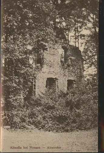 Nossen Abtei Ruine des Klosters Altzella