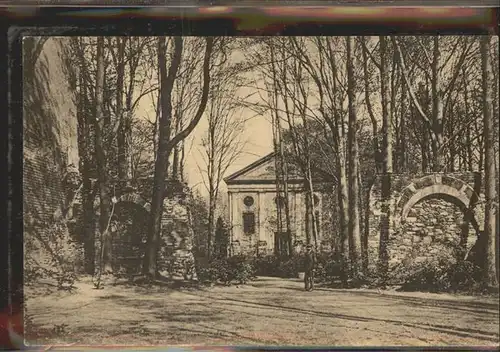 Nossen Ruinen des Klosters Altzella Stiftskirche Begraebniskapelle Klosterpark