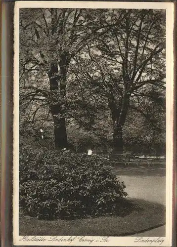 Coswig Sachsen Heilstaette Lindenhof Lindenplatz Parkanlagen