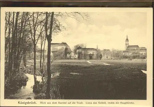Koenigsbrueck Blick auf Hauptkirche und Schloss vom Muehlgraben aus Kat. Koenigsbrueck
