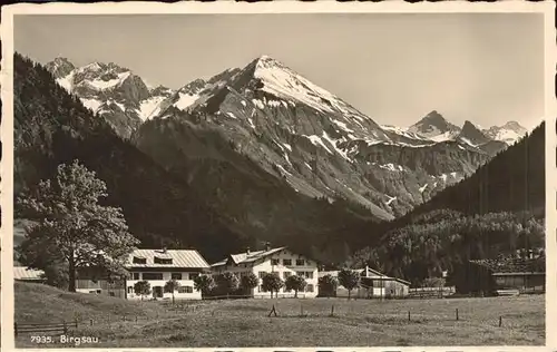 Birgsau Ortsansicht mit Alpenpanorama Kat. Oberstdorf