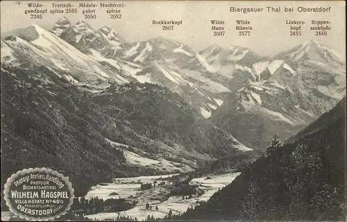 Birgsau Birgsauer Tal mit Alpenpanorama Kat. Oberstdorf