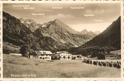 Birgsau Ortsansicht mit Alpenpanorama Kat. Oberstdorf