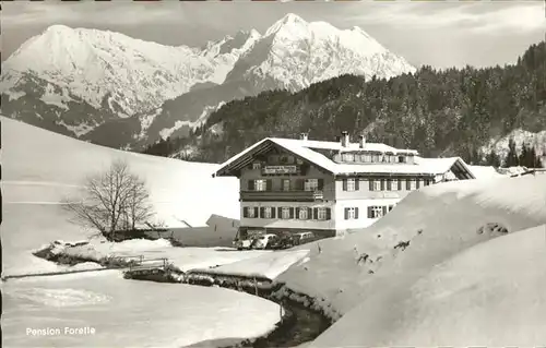 Obermaiselstein Pension Forelle Kat. Obermaiselstein